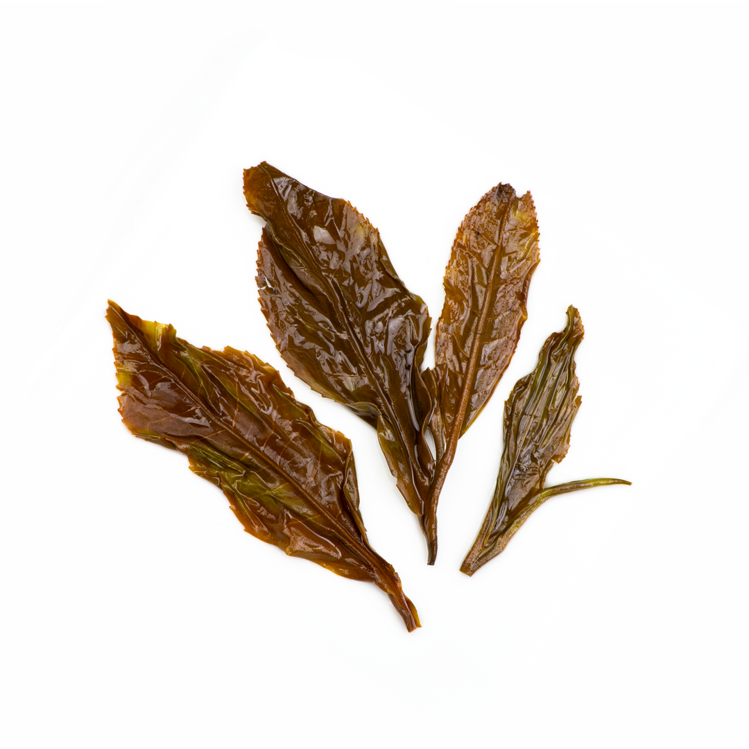 Wulong Usambara - Image 3