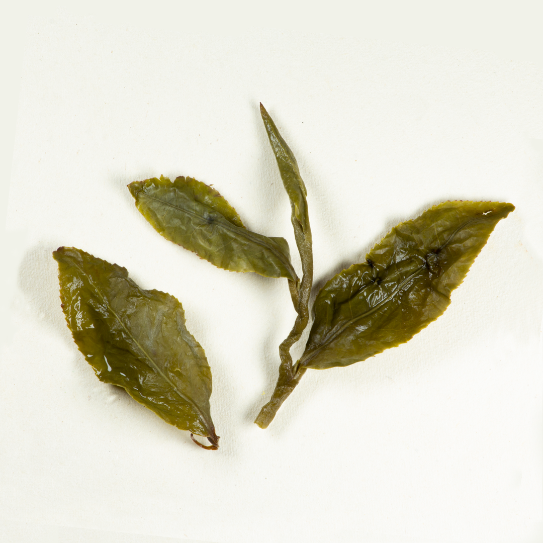 Dong-Ding Jade Wulong - Image 4