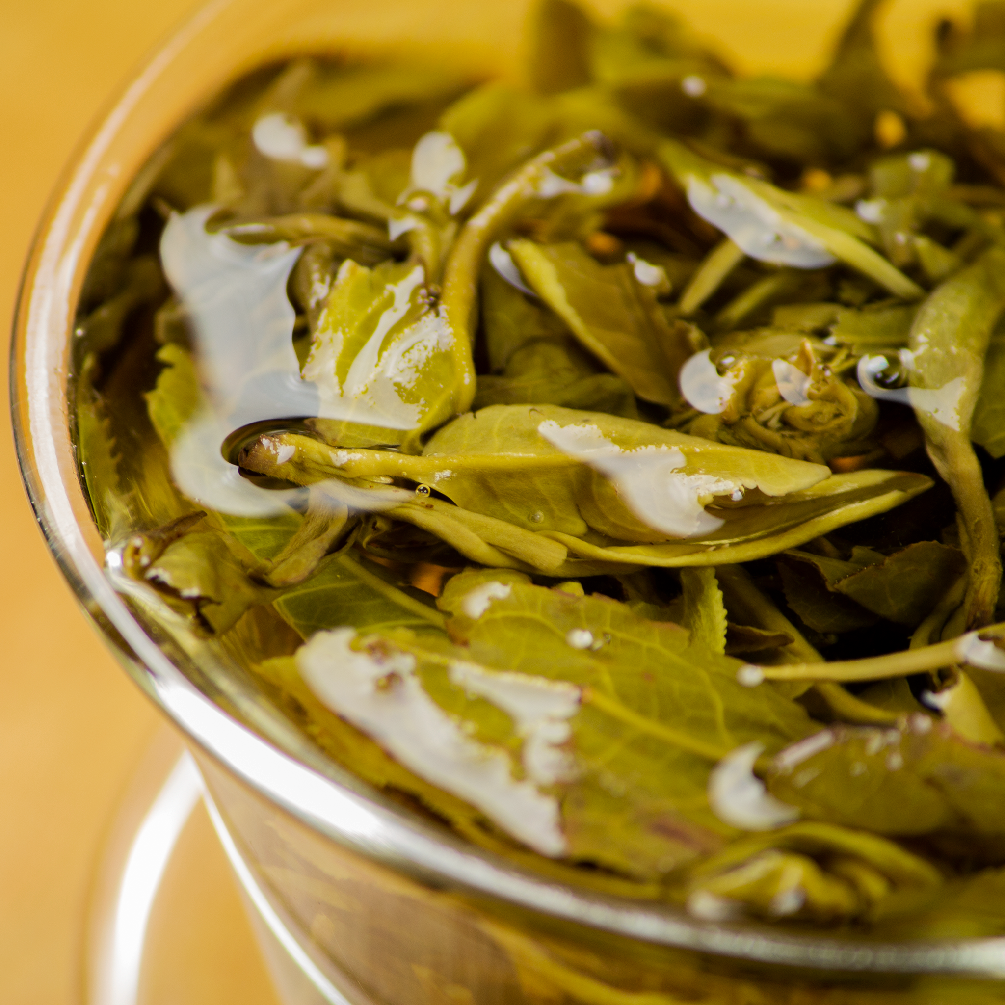 Jasmine Pearls - Image 3